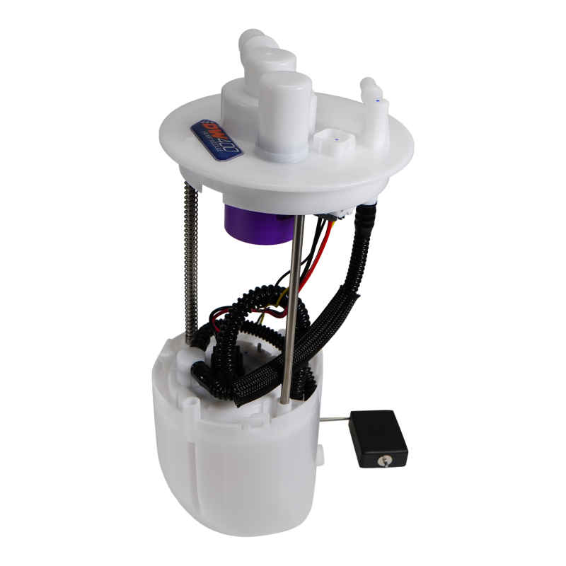 Photo - Primary