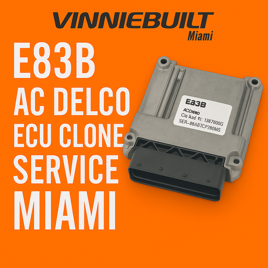 E83B AC Delco ECU Clone Service