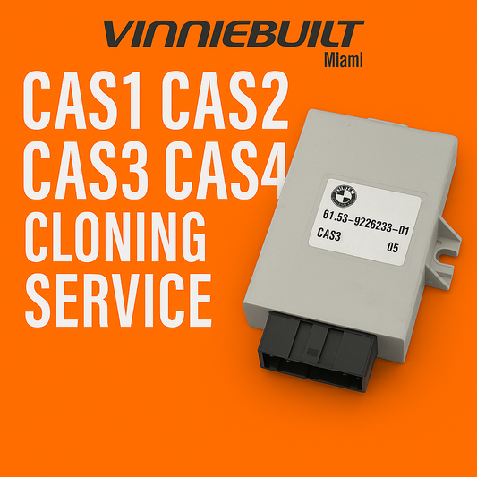 CAS1 / CAS2 / CAS3 / CAS4 Cloning Service