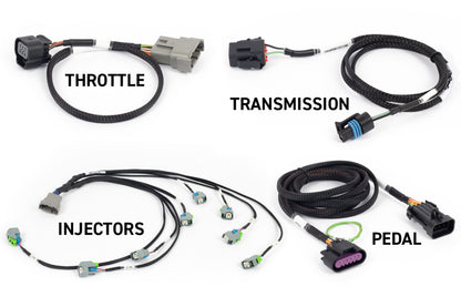 Haltech NEXUS Rebel LS Gen IV 6-Pin DBW Throttle/EV6 Injectors/Manual Transmission